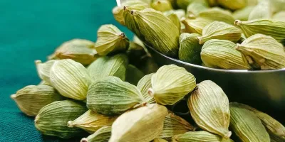 هل سبز و لاغری /