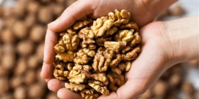 گردو و لاغری / آیا