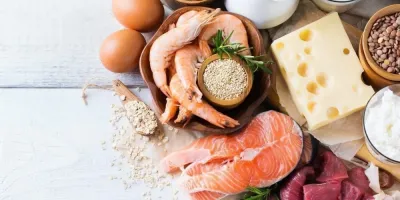 غذای طبیعی چیست و