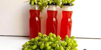 آبغوره و تاثیر آن