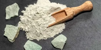 سنگ مرداب یا مردار
