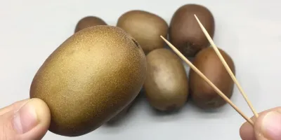 روش آسان و حرفه ای