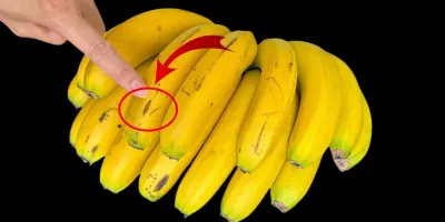 این موز را هرگز