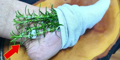 روشی طبیعی برای