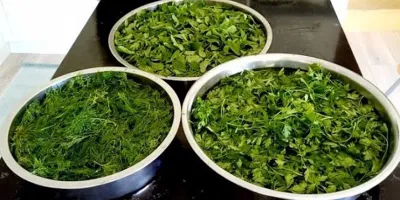 نحوه پاک کردن شوید