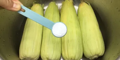نحوه دون کردن و