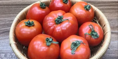 گوجه فرنگی را در