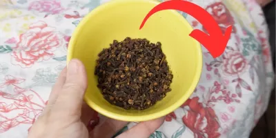 میخک ها را زیر تخت