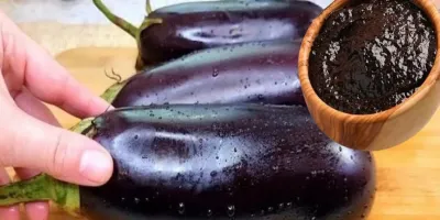 غذا با بادمجان /