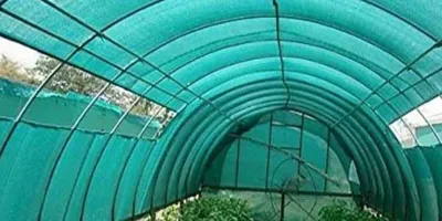 ساخت سایه بان طبیعی