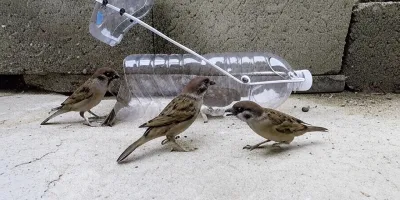 با این ۳ تله ساده