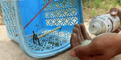 نحوه ساخت تله پرنده