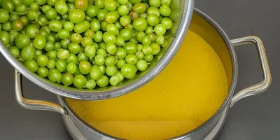 طرز تهیه آبغوره