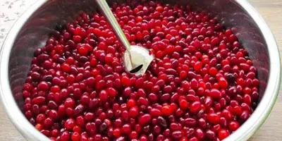 طرز تهیه غذایی که