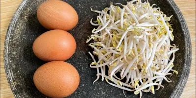 دیگه تخم مرغ را