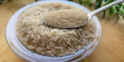 دیگه برنج را ساده