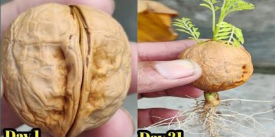 آموزش قدم به قدم