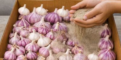 بهترین روش نگهداری