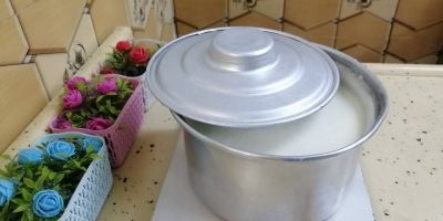 طرز تهیه ماست خانگی