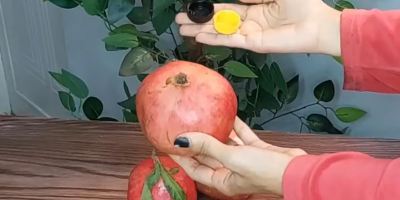 بهترین روش دون کردن