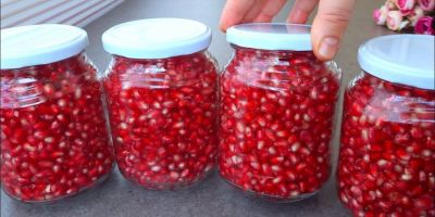 بهترین روش نگهداری