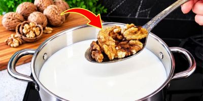 طرز تهیه پنیر