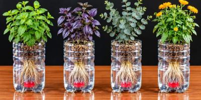 ترفند آبیاری خودکار
