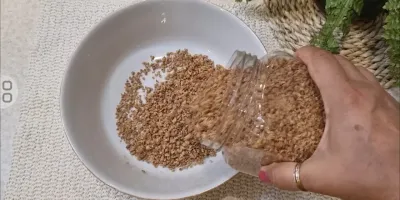 نحوه مزه دار کردن