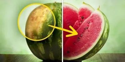 از خوردن این نوع