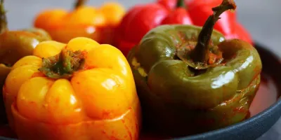 طرز تهیه دلمه فلفل