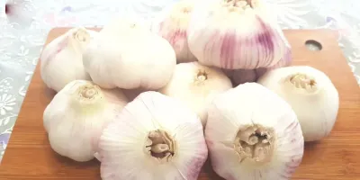بهترین روش ها برای