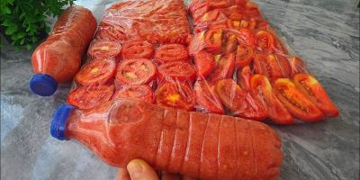 روش نگهداری گوجه