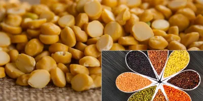 آشنایی با انواع