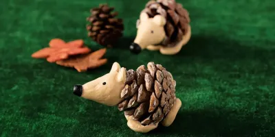 آموزش ساخت جوجه
