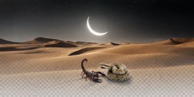 ضرب المثل های عقرب؛