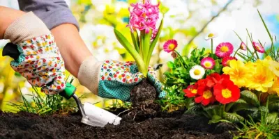 شماره عموپورنگ / راه ارتباطی مستقیم با عمو پورنگ چیست ؟
