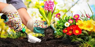 جدیدترین متن های