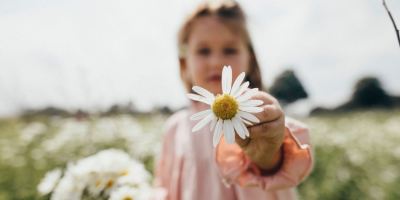 خواص بابونه برای