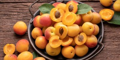 خواص زردآلو برای