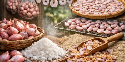 روش خشک کردن موسیر؛