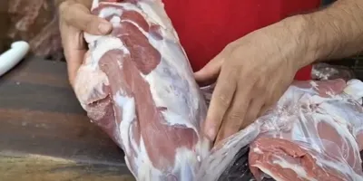 تشخیص گوشت بره از