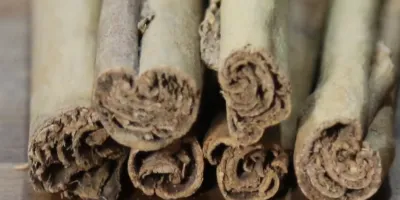 دارچین اصل و تقلبی