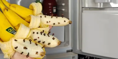 ۲ روش عالی برای