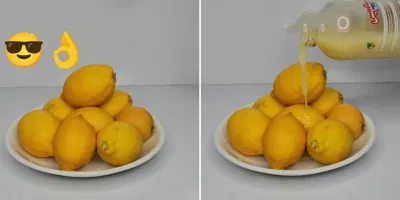 صفر تا صد نگهداری