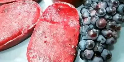 طرز تهیه بستنی یخی