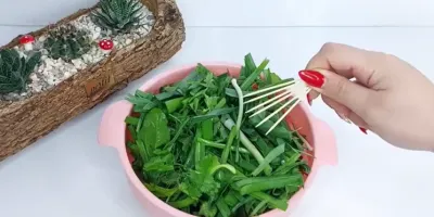 نگهداری سبزی خوردن