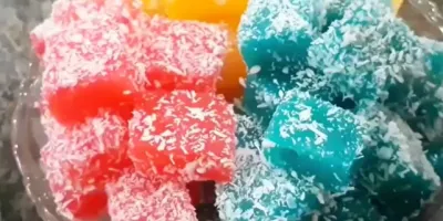 طرز تهیه باسلوق ژله