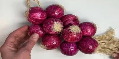ساخت پیاز دیوارکوب