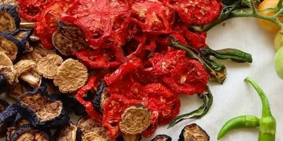 آموزش خشک کردن