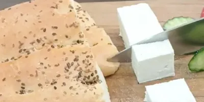 پنیر خانگی در ۵